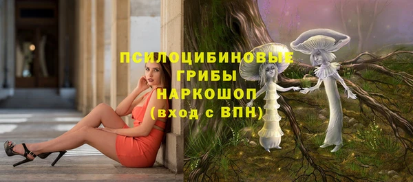 трава Балахна