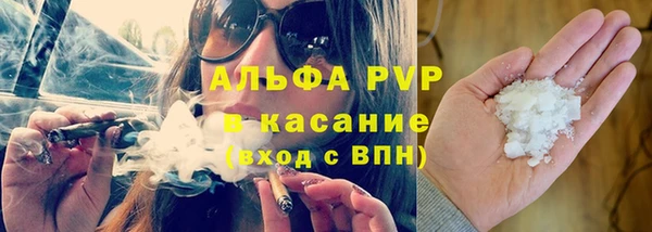 трава Балахна