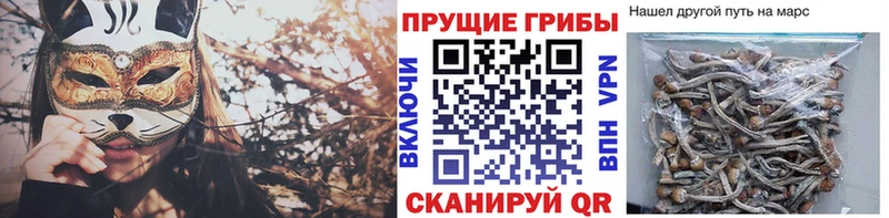 Галлюциногенные грибы Magic Shrooms  Белово 