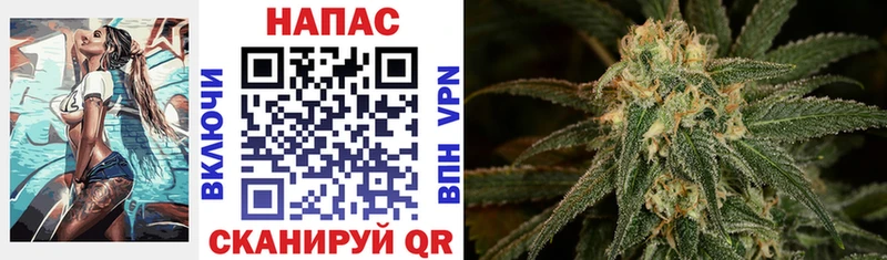 mega сайт  Белово  Канабис сатива 